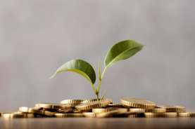 Serapan Investasi di Kaltim Tembus Rp65,4 Triliun Kuartal I 2023