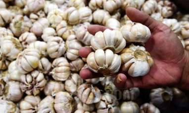 Makin Mahal! Harga Bawang Putih di Jakarta Tembus Rp44.000 per Kg