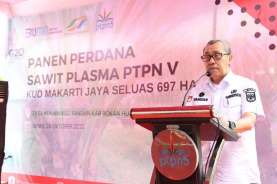 Kebun Plasma PTPN V Terluas di Riau Mencapai 56.000 Ha