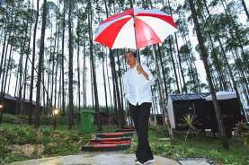 Momen Jokowi Ajak WN Singapura Tinggal di IKN