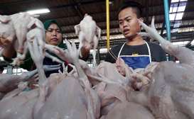 RPH Ayam Ditutup Paksa Ormas, Satgas Pangan dan Bapanas Turun Tangan