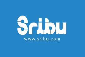 Ekspansi, Startup Penyedia Freelancer Sribu.com Gabungkan Layanan