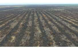 Lahan Gambut Seluas 310 Hektare di OKI Sudah Terbakar