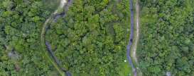Daftar Terbaru Saham Paling Ramah Lingkungan Termurah di Indonesia