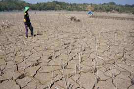 Lamongan, Bojonegoro dan Trenggalek Daerah Rawan Kekeringan akibat El Nino