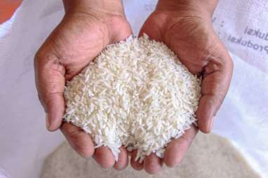 Harga Beras di Sumbar Melambung di Atas HET, Ini Penjelasan Disperindag