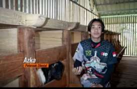 Lebih dari 15.000 Hewan Ternak Dibagikan ke Peternak di Bandung Barat