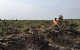 Kebakaran Landa 1.178 Lahan di Sumsel, Ini Tiga Daerah Paling Rawan