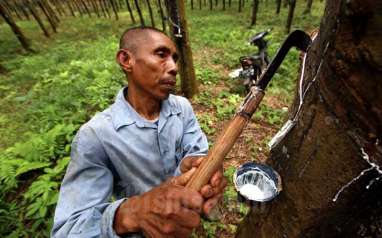 Harga Karet di Sumsel Naik, Disbun Jelaskan Faktor Penyebabnya