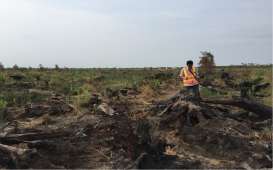 Kebakaran Lahan di Indragiri, Libatkan Helikopter untuk Pemadaman