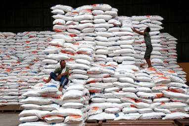 Harga Terus Melesat, KPPU Dalami Rantai Distribusi Beras di Lampung