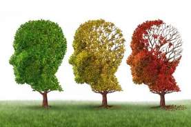 China Negara dengan Jumlah Pasien Alzheimer Terbanyak di Dunia, Usia Pengidap Kian Muda