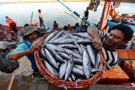 Pacu Tangkapan Nelayan, Pemerintah Optimalkan TPI Ender di Kabupaten Cirebon