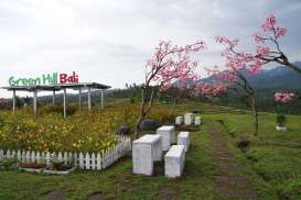 Agrowisata Green Hill Jembrana Sajikan Panorama Indah Sawah Terasering