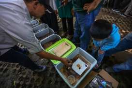 Atasi Sampah Organik, Pemkot Bandung Siapkan 151 Hanggar Maggot