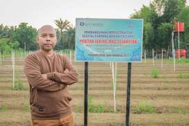 Jelajah UMKM: Produksi Cabai Gapoktan Cagar Tumbuh Berlipat Berkat Demplot Digital Farming