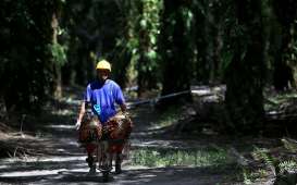 Selama 10 Tahun, Jumlah Petani Riau Meningkat Tajam