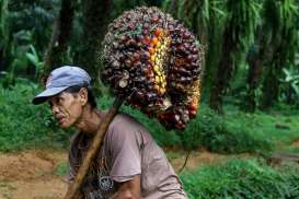 Ditopang Sawit, Pertumbuhan Ekonomi Riau Melampaui Target