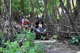 Masuk Romokalisari Adventure Land & Kebun Raya Mangrove Surabaya Kini Berbayar