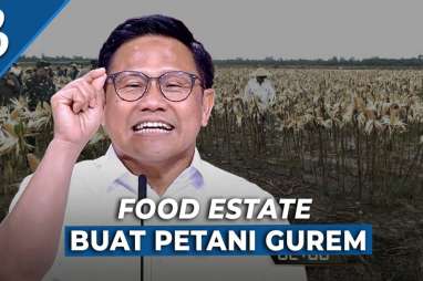 Langsung Ngegas! Cak Imin Sindir Proyek Food Estate dan Giant Sea Wall