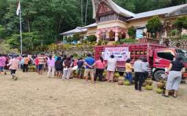 Pesta Adat di Toraja Pengaruhi Konsumsi LPG 3 Kg, Pertamina Pasokan 102%