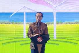 Jalan Berliku Jokowi Teken Perpres Publisher Right
