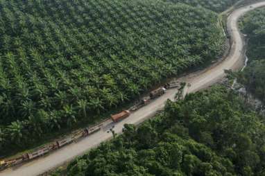 285.000 Lahan di Riau Berpotensi Dikelola Jadi Wakaf Produktif