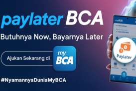 Jumlah Pengguna Paylater BCA Melonjak 70% hingga Maret 2024