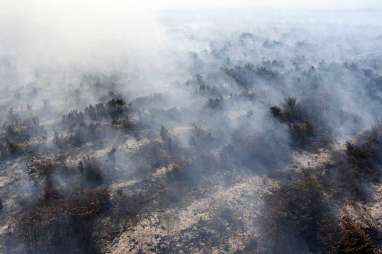 Ada Fatwa Haram Deforestasi dari MUI, BSI (BRIS)  Respons dengan Pembiayaan Hijau