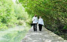 Indonesia-Uni Emirat Arab Bakal Bangun Pusat Riset Mangrove di Bali