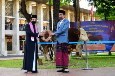 Iduladha 2024, Sapi Kurban dari Presiden Jokowi Disembelih di Masjid Raya Sumatra Barat