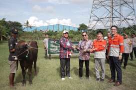 Cirebon Power Salurkan 53 Ekor Hewan Kurban untuk Penanganan Stunting di Kabupaten Cirebon