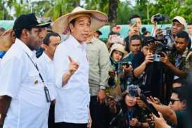 Jokowi Belum Minat Tengok Perkembangan Program Food Estate, Kenapa?