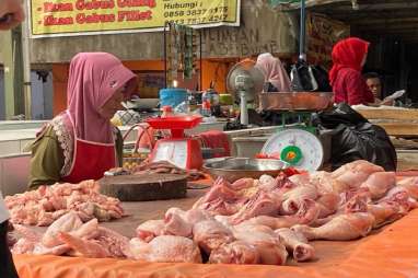 Harga Daging Ayam Turun, Riau Deflasi 0,22% Selama Juni 2024