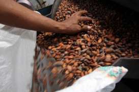 Filipina Bidik Kopi dan Kakao Jawa Barat