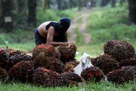 Harga CPO Tersengat Fenomena La Nina yang Makin Dekat