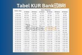 Tabel Angsuran KUR BRI 2024 Plafon 100 Juta