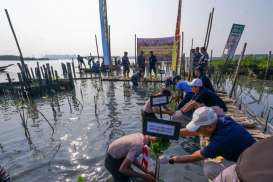 Kolaborasi Konservasi Bakau untuk Wisata Pesisir dan Pelabuhan