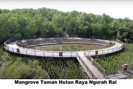 5 Wisata Mangrove Indonesia yang Menarik Dikunjungi