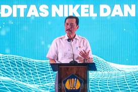 Luhut Sebut RI Bakal Bangun Pusat Penelitian Baterai EV di Morowali