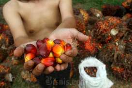 Kemendag Buka Jalan Kopi hingga Sawit RI Masuk Pasar Timteng