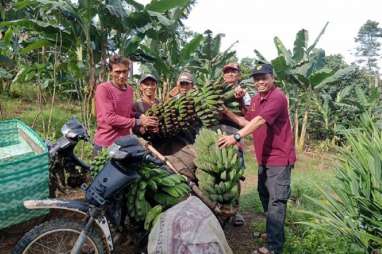 Asa Petani Kaltim Sokong Kebutuhan Hortikultura di IKN Nusantara