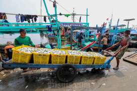 Sebanyak 31.556 Nelayan di Kepri Terlindungi Program BPJS Ketenagakerjaan