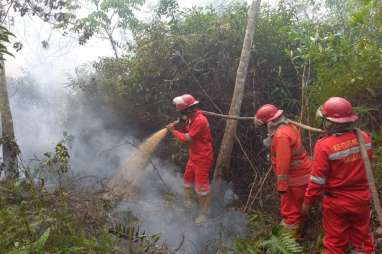 Hingga Juli 2024, Luasan Lahan Terbakar di Sumsel Mencapai 750,83 Hektare