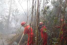 Pemadaman Lahan Gambut Seluas 10 Hektare di OKI Masih Berlanjut