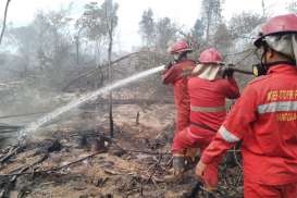 Luasan Lahan Terbakar di OKI Telah Mencapai 21,6 Hektare