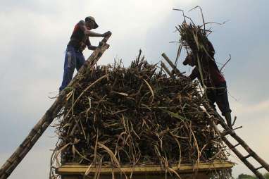 Tingkatkan Kesejahteraan Petani Tebu, Dinas Koperasi dan UKM Sumbar Beri Pelatihan