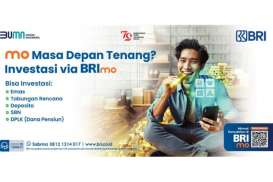 Mau Mulai Investasi? Saatnya Coba Buka RDN di BRImo Saja!