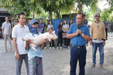 Jembrana Sebar Hibah Pakan Hingga Uang Buat Petani dan Peternak