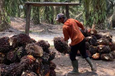 Sumsel Luncurkan Jaminan Sosial untuk Pekebun Sawit